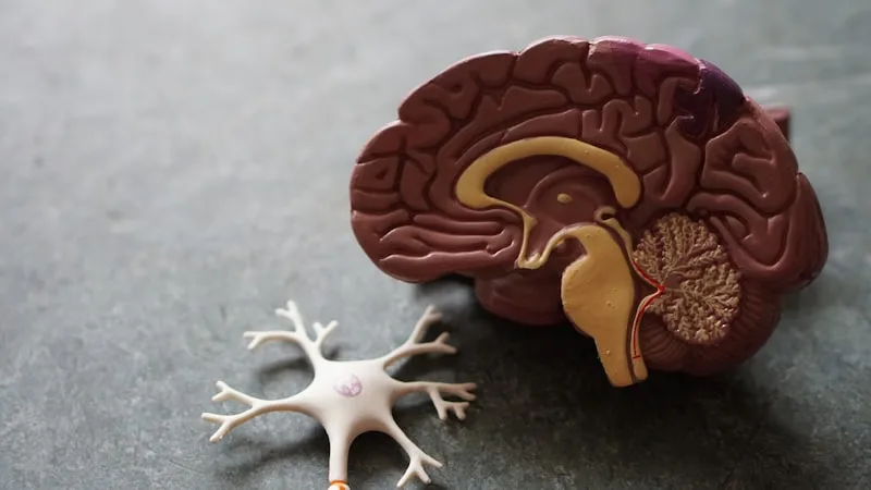 Stroke recognition: FAST explained
